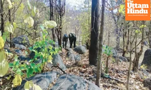 Deadly Encounter in Balaghat: Three Women Naxalites Killed, Weapons Recovered