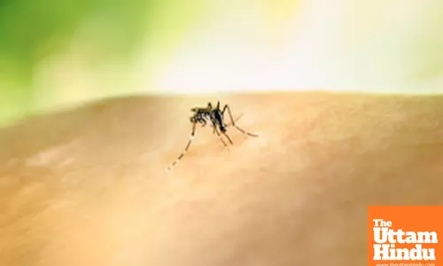 Sao Paulo state declares health emergency over dengue outbreak