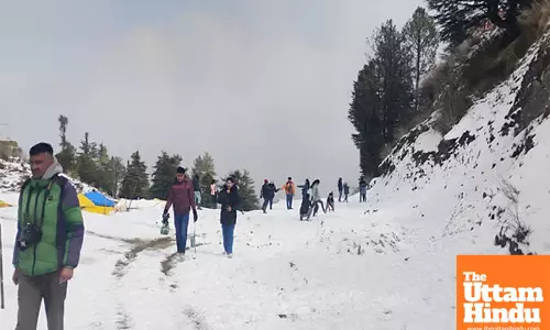 Himachal Turns Winter Wonderland! Tourist Rush Boosts Shimla-Manali Business