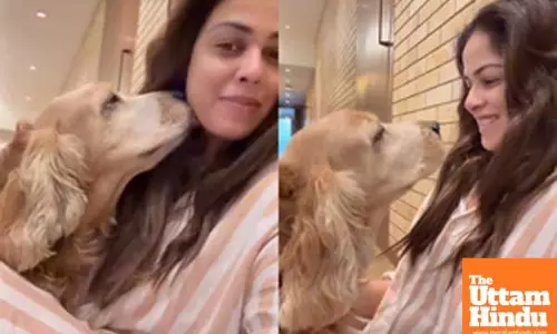 Genelia celebrates 11 years of her fur baby: Thank you for choosing me to be your Aai