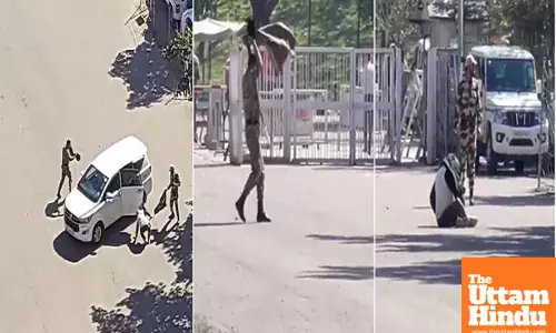 Haryana Civil secretariat takes swift action to banish bees after scary swarm incident