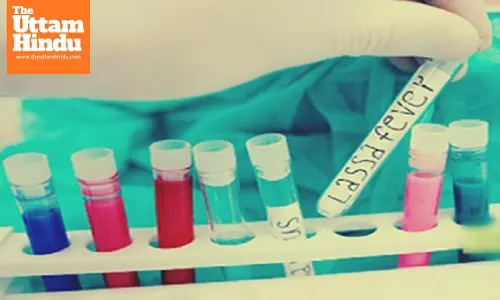 Lassa Fever Outbreak Spirals Out of Control: 80 Dead, Panic Spreads Across Multiple States