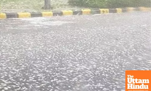 7 Days of Hail in Punjab: Meteorological Dept Issues Urgent Alert!