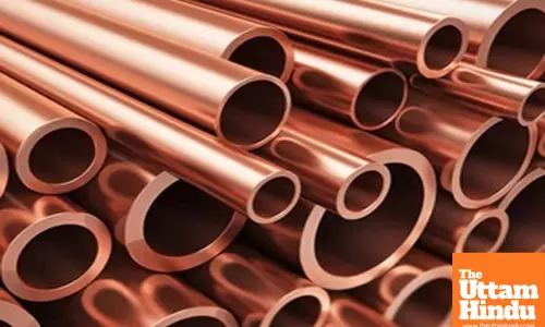 Donald Trump orders an investigation into possible tariffs on copper