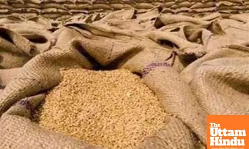 How India’s public distribution system is helping reduce stunted growth