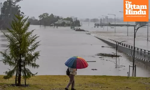 Death toll from tropical disease melioidosis in Australia rises to 12