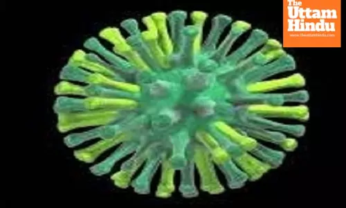 Toddler dies of H5N1 virus in Cambodia