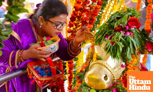 A devotee whispers her wishes in the ears of Nandi