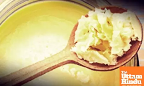 4,000 kg adulterated ghee valued at Rs 17.5 lakh seized in Gujarat