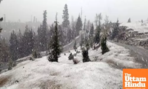 Snowfall in higher reaches of Kashmir, rain in plains