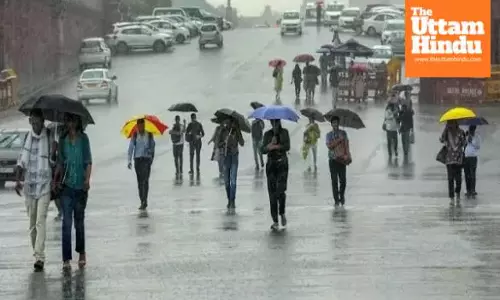 Cold Wave Grips North India, Rain in Punjab and Himachal, Snowfall in Hills