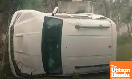 Cow Causes Scorpio to Flip in Haryana Road Accident