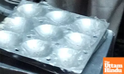 Karnataka to Ban Plastic in Idli Making Due to Health Risks