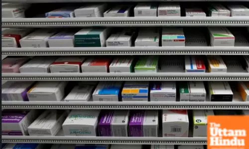 Indian pharma sector sees growth at 8 pc CAGR, export rates spike by 9 pc in 2024: Report