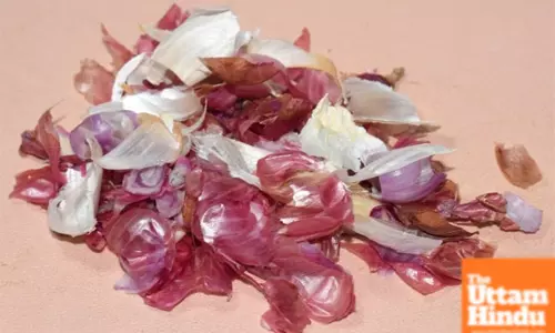 Garlic and Onion Peel Masala: Enhance the Flavor of Dahi-Vada and Momos