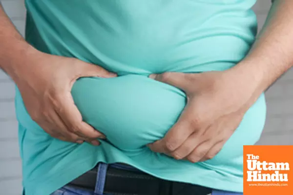 How brain plays central role in development of obesity How brain plays central role in development of obesity