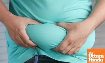 How brain plays central role in development of obesity How brain plays central role in development of obesity