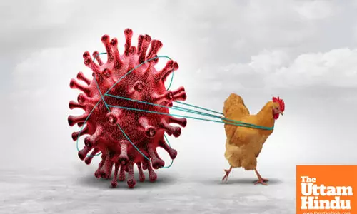 Bird flu confirmed in Bihars Jehanabad after crow deaths, authorities on high alert