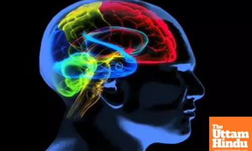 Alzheimer’s disease: Researchers discover role of key protein