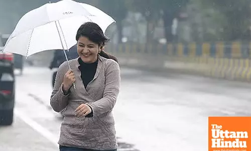 Punjab to see rain again: yellow alert, strong winds, temp drops by 2.5°C