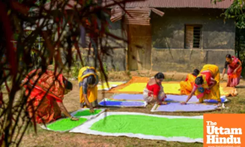 Women prepare herbal colours ahead of Holi