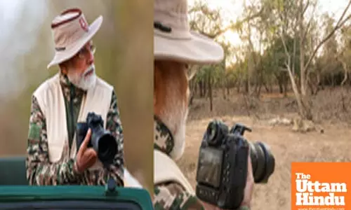 PM Modi goes on jungle safari in Gujarats Gir wildlife sanctuary, clicks pictures of lions