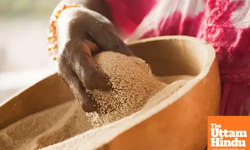 Miracle Flour: Experience Thousands of Health Benefits with Just One Months Consumption