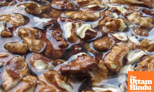 Eating Soaked Walnuts Gives Immense Benefits to the Body