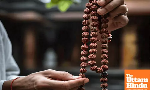 Wearing Rudraksha Gives These 5 Health Benefits, Its Not Only Connected to Faith