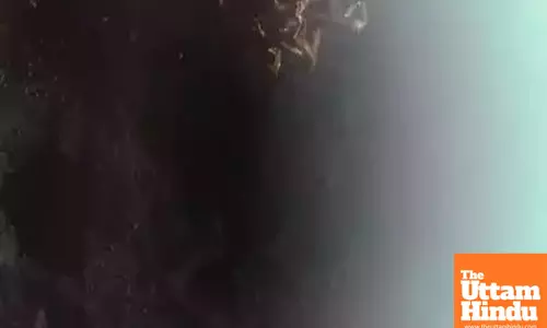 Blue Ghost Lander Lands on the Moon, Making History for Private Space Missions