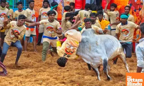 TN Minister Meyyanathan inaugurates Pudukkottai Jallikattu