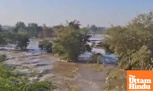 Flooding in Surat after breach in Kakrapar Main Canal