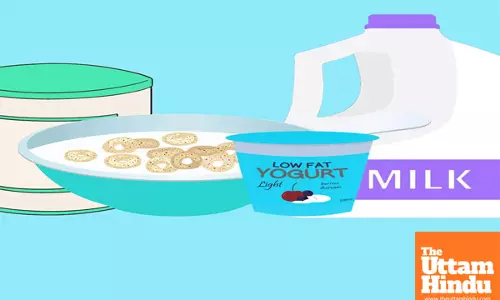 Are You Giving Expired Products to Your Children? Heres What the Rules Say