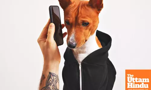 MWC 2025: uCloudlink Unveils the Worlds First pet phone and More Innovative Products