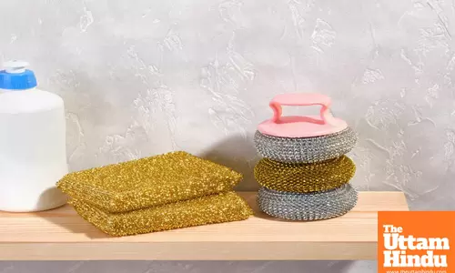Kitchen sponges can be harmful to your health: Heres why