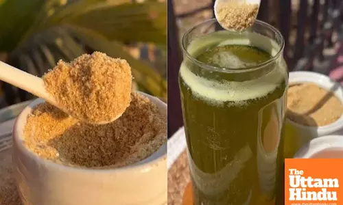 Lemon Powder: A Convenient and Mess-Free Way to Enjoy Lemons