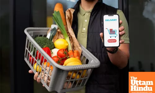 Grocery Delivery vs. In-Store Shopping: Why You Might Want to Visit the Store Instead