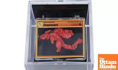 Flamin Hot Cheeto Resembling Charizard Sells for Nearly 77 Lakhs