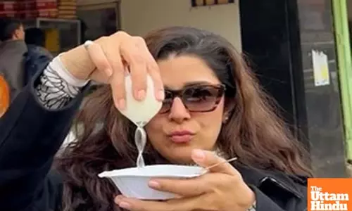Nimrat Kaur satisfies her sweet tooth with this childhood favorite sweet dish