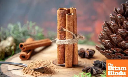 Benefits of Cinnamon for Digestion and Overall Health
