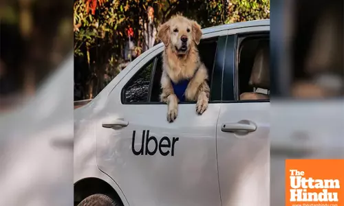 Uber Pets Launches in Delhi and Mumbai, Ensuring No Pets Are Left Behind on Rides.