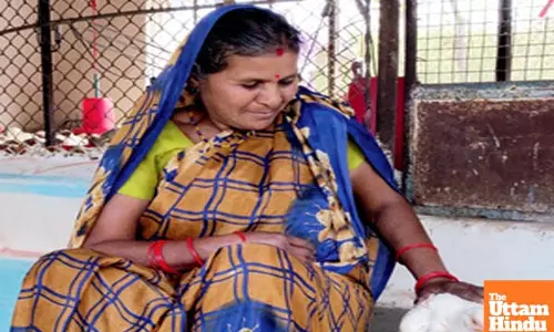 Shanti Bai: A poor firewood seller turns flag bearer of multimillion backyard poultry business in MP