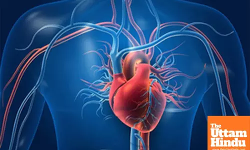 Breakthrough research offers hope for treatment of ischemic heart failure