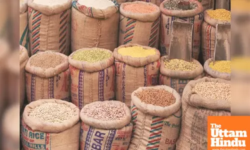 10% Duty on Lentils Imposed, Yellow Peas Import Duty-Free Till May 31