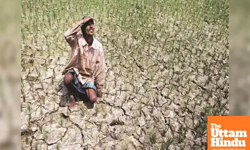 India Grapples with Stronger Heatwaves Amid Accelerating Climate Change