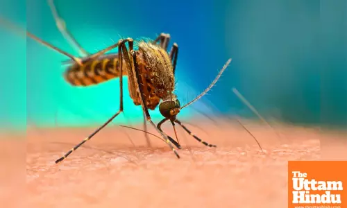 Malaria Control Efforts in Africa at Risk Due to US Aid Cuts