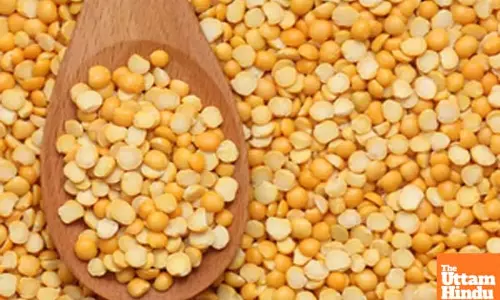 Govt extends duty-free import of yellow peas to keep inflation in check