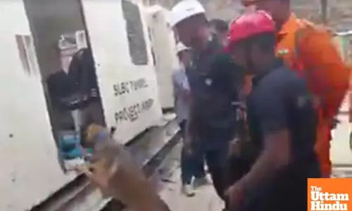 Telangana tunnel tragedy: Cadaver dogs identify human presence under rubble