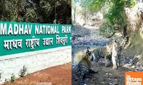 Always at forefront of protecting animals: PM Modi on opening of Indias 58th Tiger Reserve