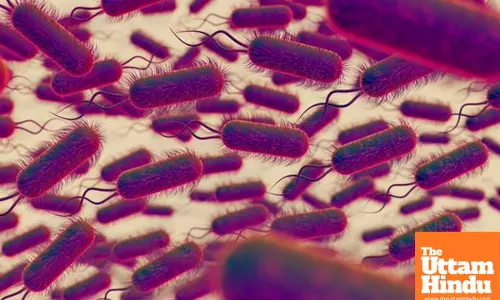 Parasites Keep Surging Due to Easy Transmission, Experts Warn